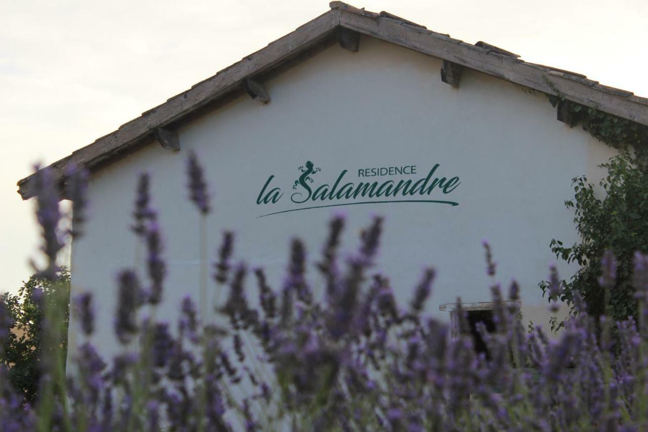 Residence La Salamandre Kamers Rabastens Exterior foto